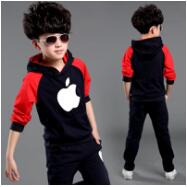 Full Sleeve Jacket Coat Tops + Pants Boys Girls Clothes 2PCS Autumn Spring Kids Clothes Hooded Children Kids Boys Clothing Set